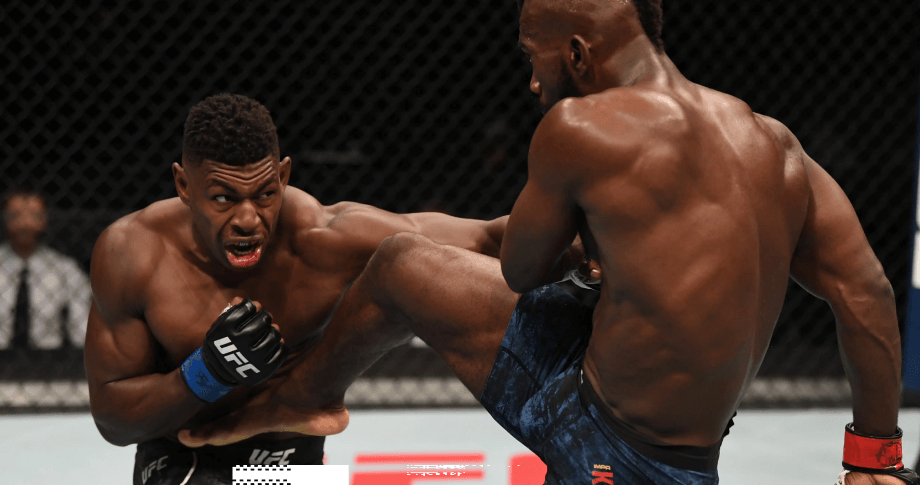introduction-ufc