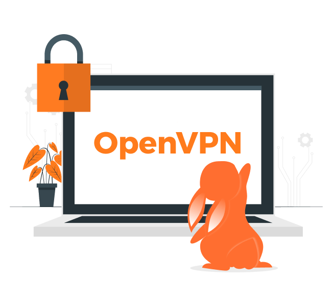 OpenVPN